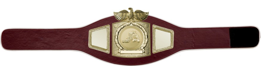 PROEAGLE JIU JITSU CHAMPIONSHIP BELT - PROEAGLE/G/JJG - AVAILABLE IN 6+ COLOURS PROEAGLE JIU JITSU CHAMPIONSHIP BELT - PROEAGLE/G/JJG - AVAILABLE IN 6+ COLOURS